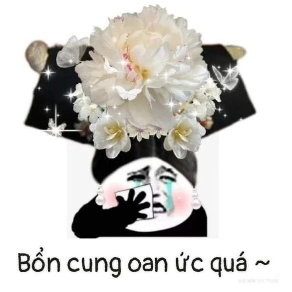 meme cung đấu (25)