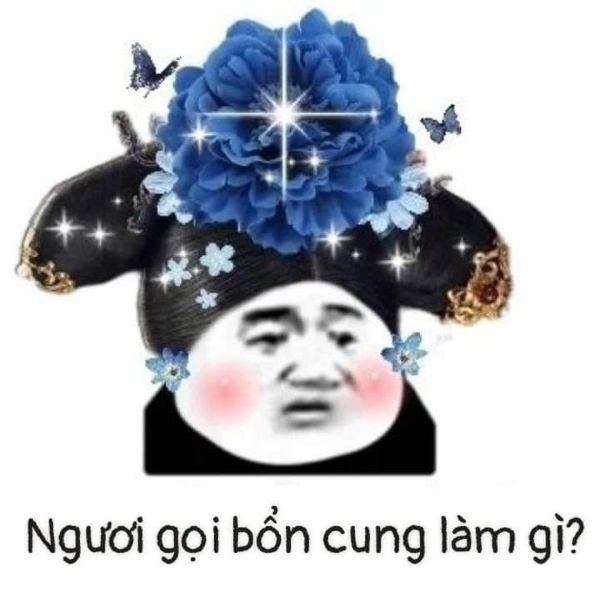 meme cung đấu (8)