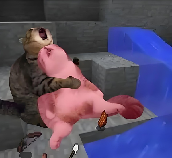 meme dâm (11)
