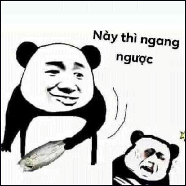 meme đánh nhau (16)