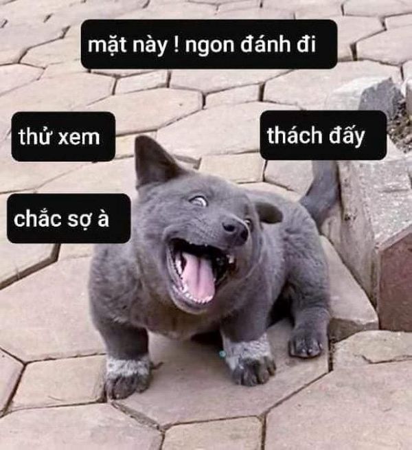 meme đánh nhau (18)