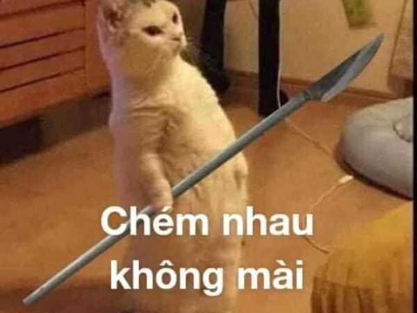 meme đánh nhau (24)