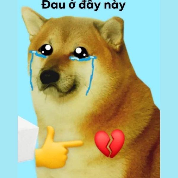 meme đau tim (1)