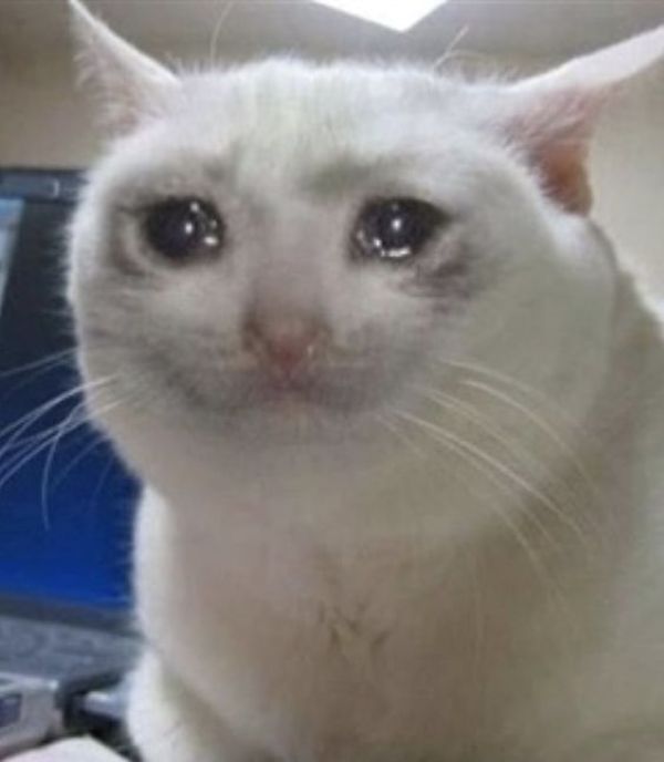 meme đau tim (11)