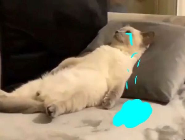 meme đau tim (13)