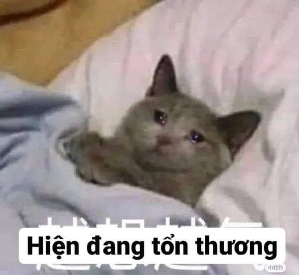 meme đau tim (14)