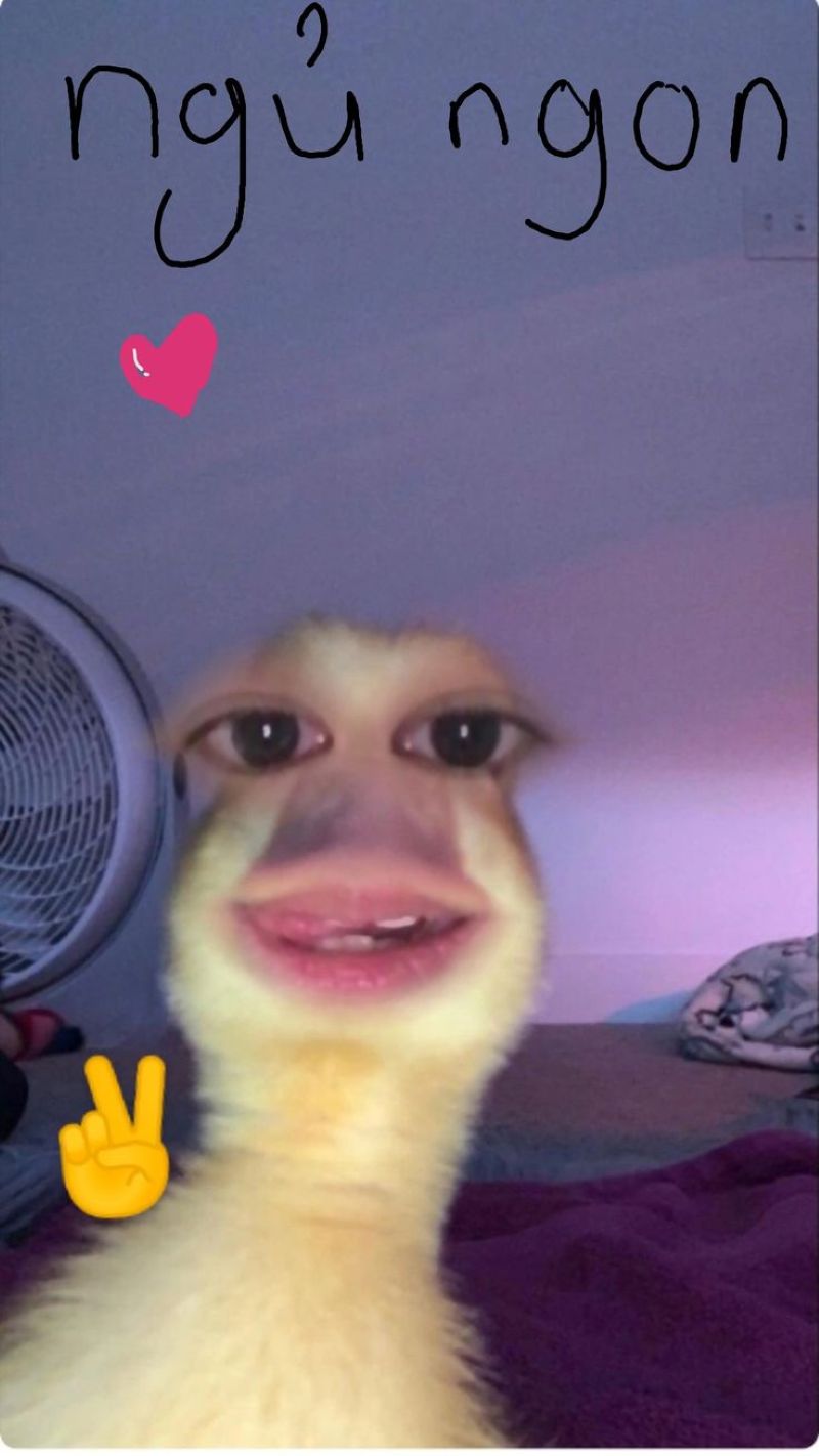 meme đéo tin (13)