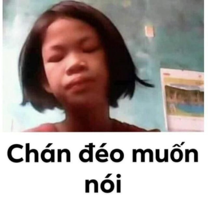 meme đéo tin (2)