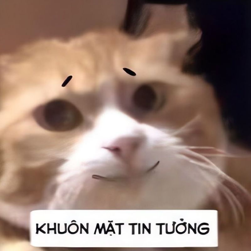 meme đéo tin (3)