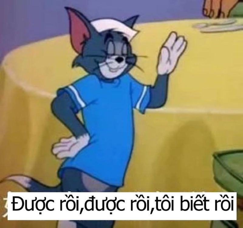 meme đéo tin (4)