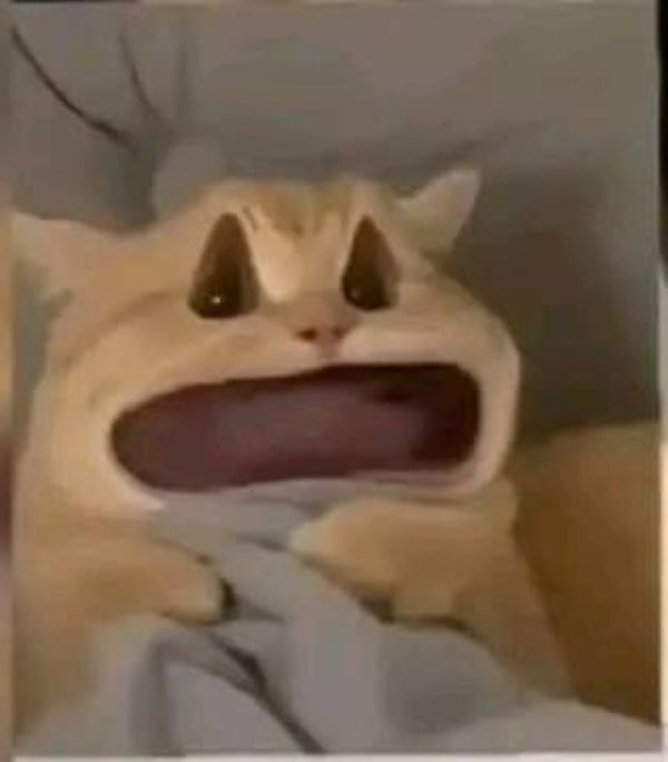 meme há mồm (19)
