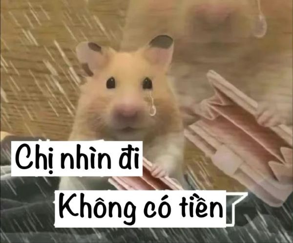 meme hết tiền (1)