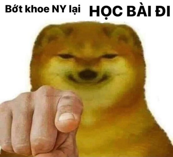 meme học bài đi
