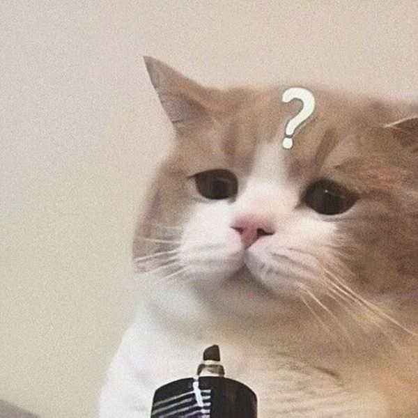meme khó hiểu (11)