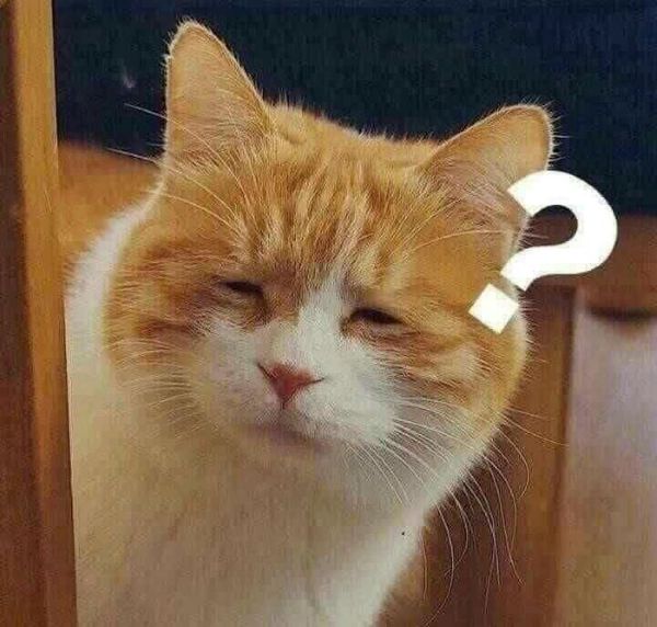 meme khó hiểu (3)