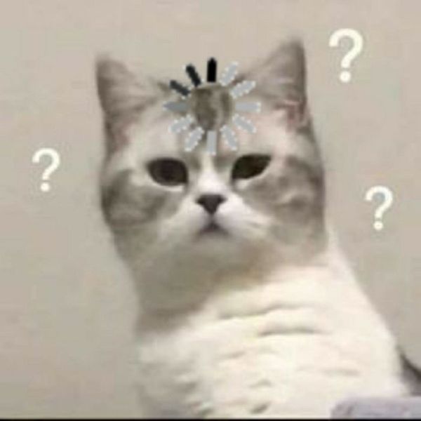 meme khó hiểu (7)