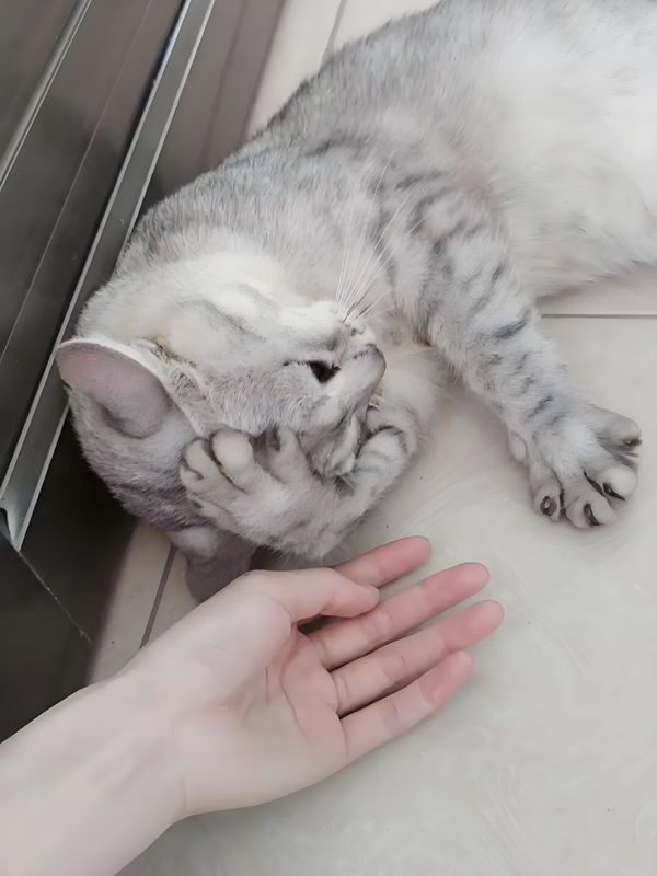 meme ôm đầu (20)
