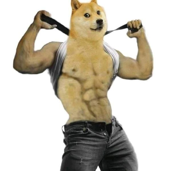 meme shiba (10)