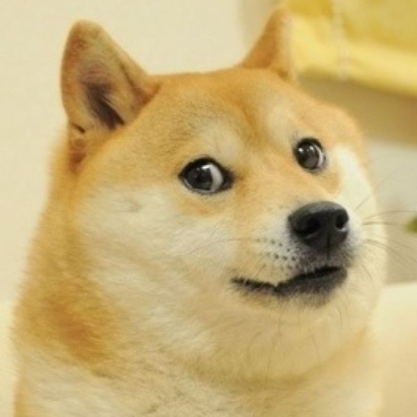 meme shiba (17)
