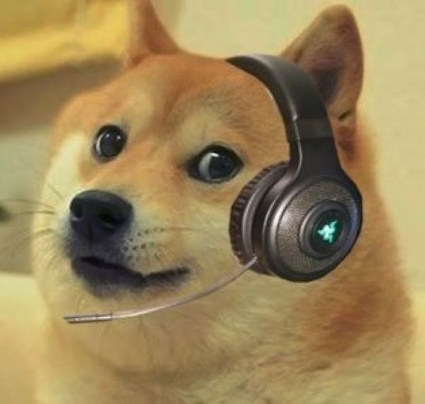 meme shiba (20)