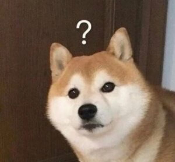meme shiba (21)