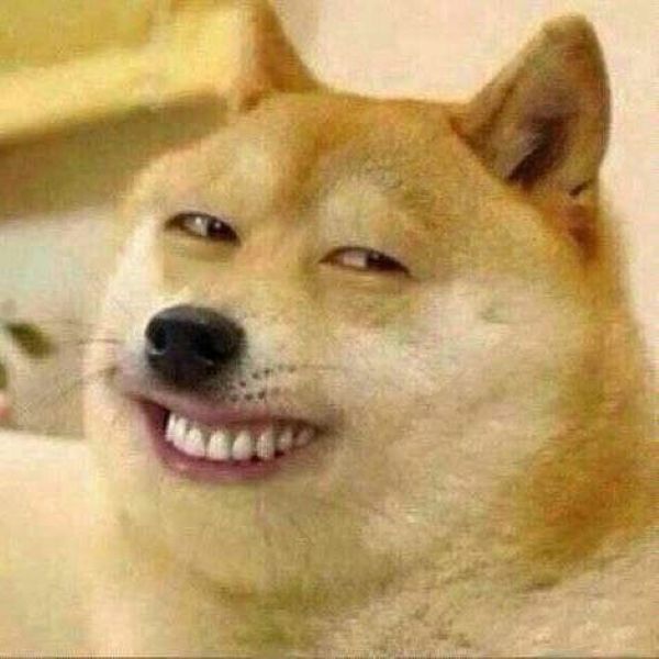meme shiba (9)