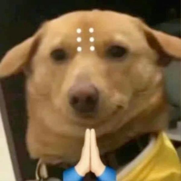 mô phật meme (4)