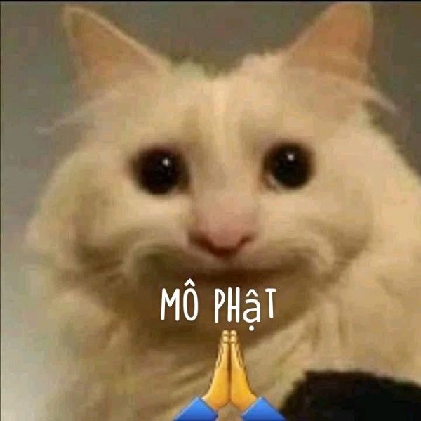 mô phật meme (8)