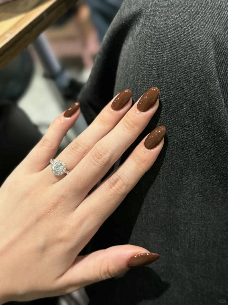 nail màu nâu (4)
