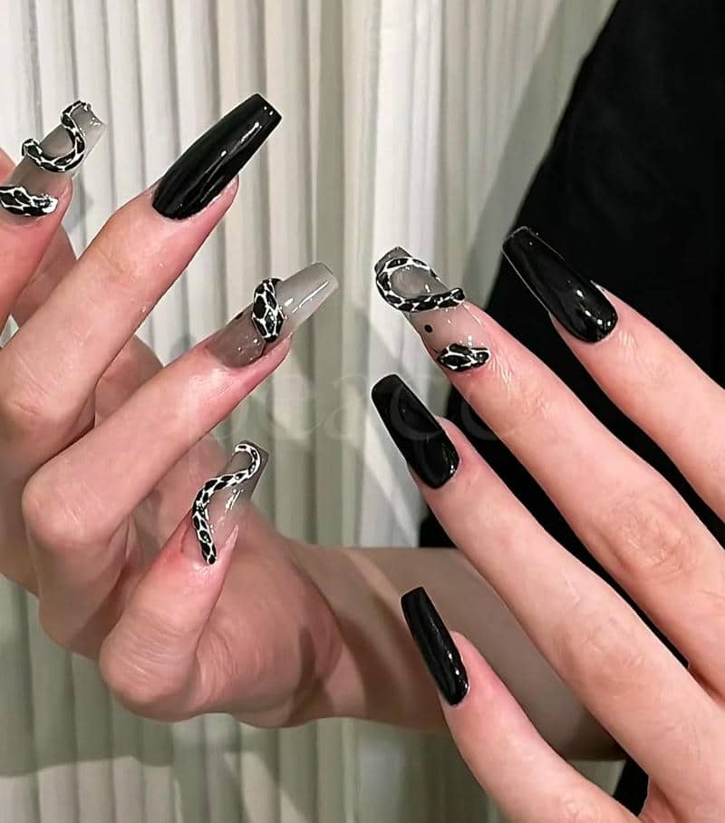 nail rắn (12)