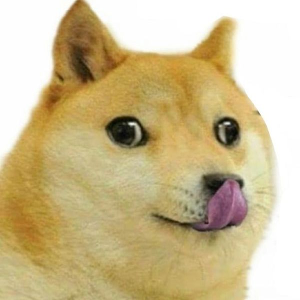 shiba meme