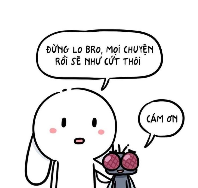 thỏ 7 màu meme (18)