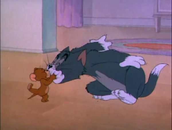 tom and jerry meme (27)