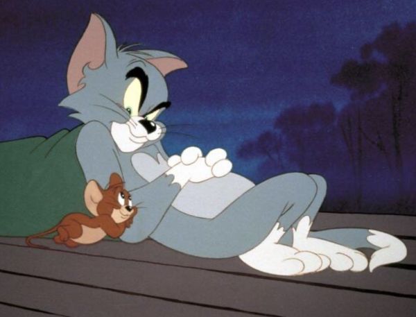 tom and jerry meme (4)