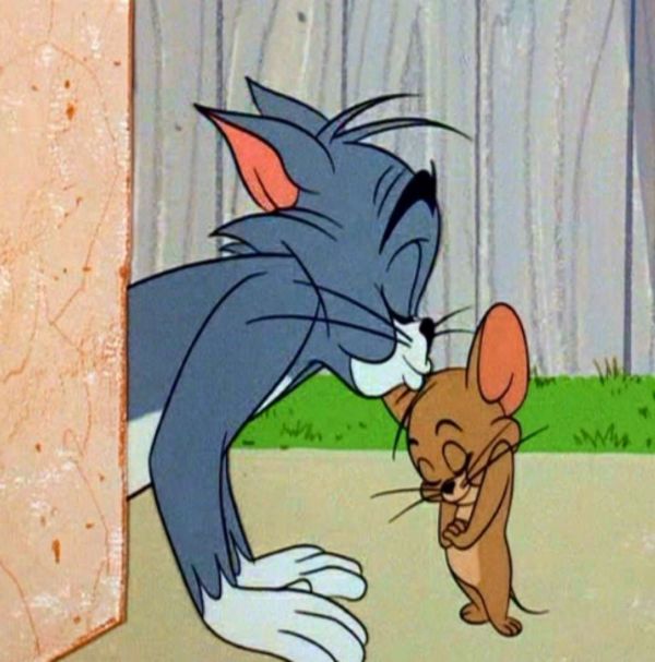tom and jerry meme (8)