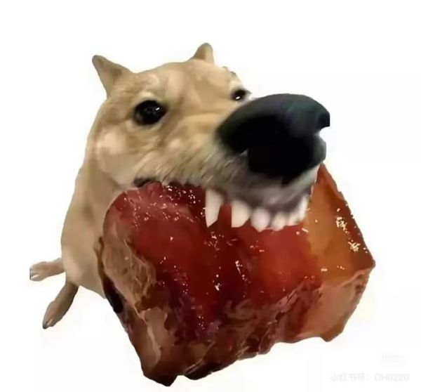 ảnh chó meme (11)