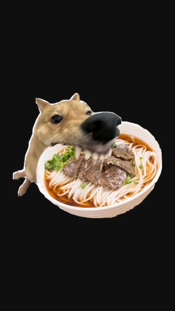 ảnh chó meme (3)