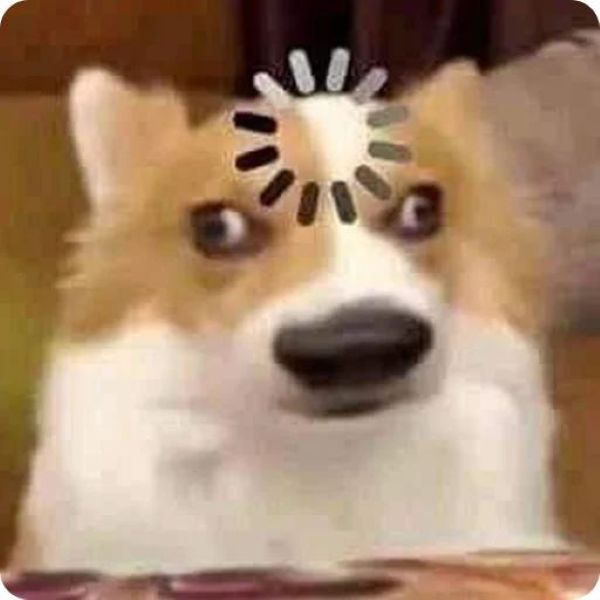 ảnh chó meme (8)