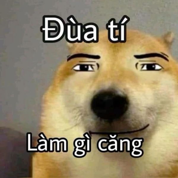 ảnh chó meme (9)