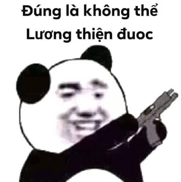 ảnh meme bựa (18)