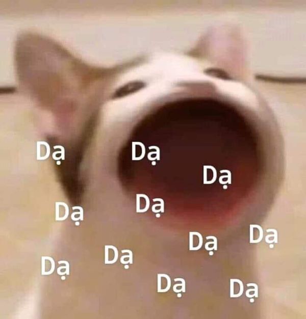 ảnh meme bựa (19)