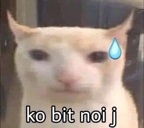ảnh meme bựa (22)