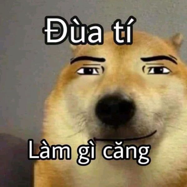 ảnh meme bựa (9)