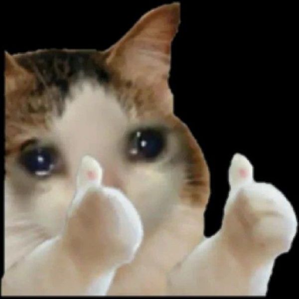ảnh meme buồn (15)