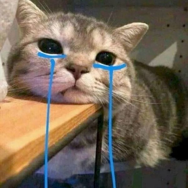 ảnh meme buồn (16)