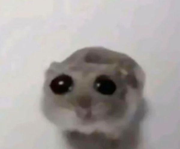 ảnh meme buồn (20)