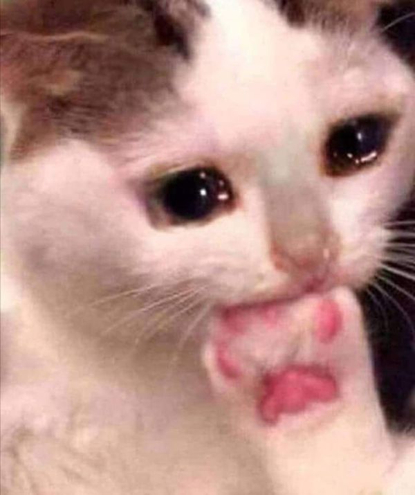 ảnh meme buồn (21)