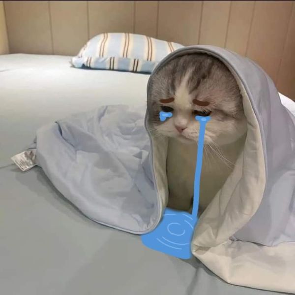 ảnh meme buồn (24)