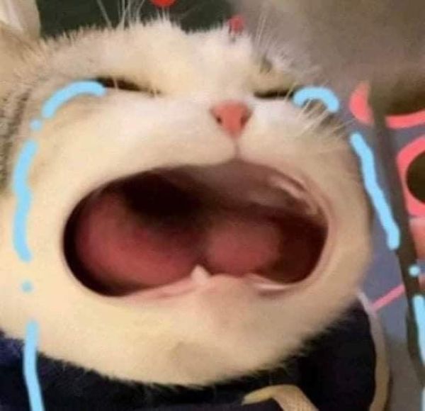 ảnh meme buồn (9)