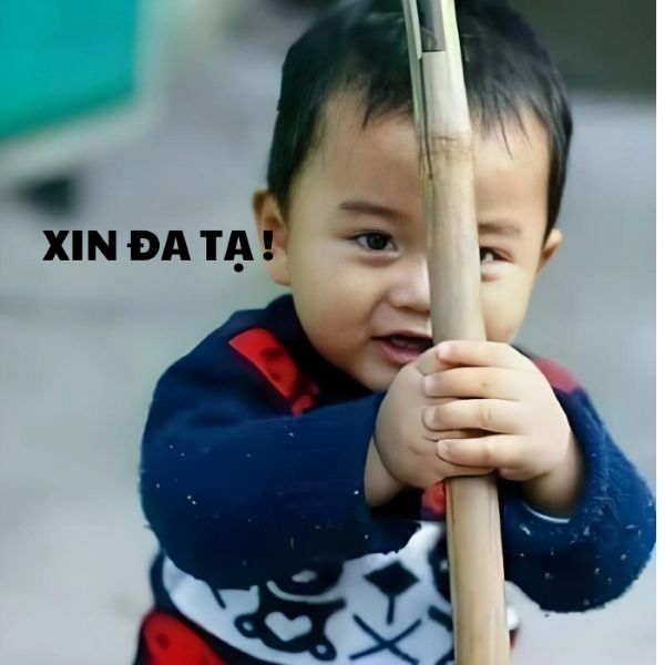 ảnh meme đa tạ ảnh meme đa tạ